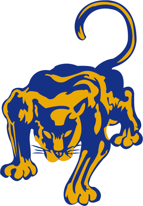 Pittsburgh Panthers 1955-1966 Primary Logo diy iron on heat transfer
